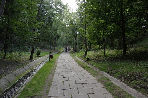 Parcul Șipote și pădurea Zamca pot fi transferate Primăriei Suceava