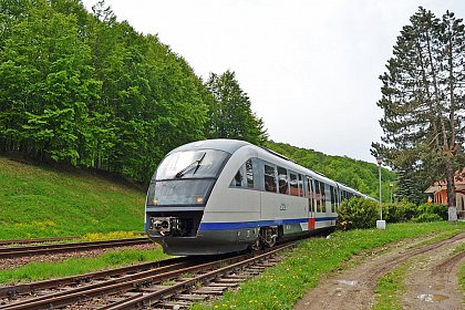 Cursele feroviare către Putna, reluate de pe 15 august, de hramul Mănăstirii