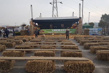 Târgul de toamnă ”Produs în Bucovina”, timp de trei zile, în parcarea Iulius Mall