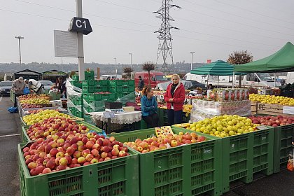 Târgul de toamnă ”Produs în Bucovina”, timp de trei zile, în parcarea Iulius Mall