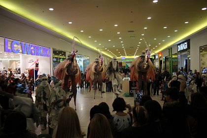 Creaturi gigantice, apariții misterioase, iluzii optice și oferte la cumpărături - surprizele pentru aniversarea celor 10 ani de Iulius Mall Suceava