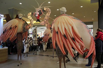 Zeci de mii de suceveni au sărbătorit, în week-end, 10 ani de Iulius Mall Suceava. Vezi cum a fost atmosfera!