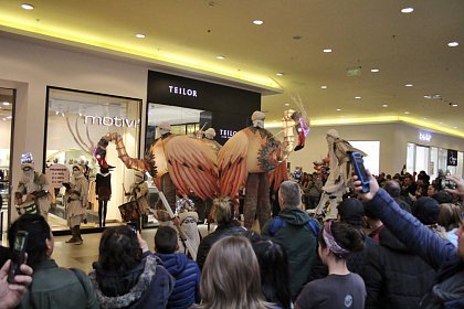 Zeci de mii de suceveni au sărbătorit, în week-end, 10 ani de Iulius Mall Suceava. Vezi cum a fost atmosfera!