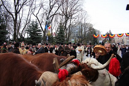 Spectacol fascinant al tradițiilor și datinilor populare de iarnă, în centrul Sucevei (Galerie foto)