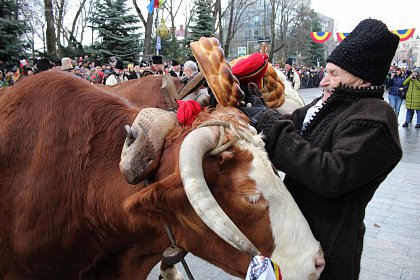 Spectacol fascinant al tradițiilor și datinilor populare de iarnă, în centrul Sucevei (Galerie foto)