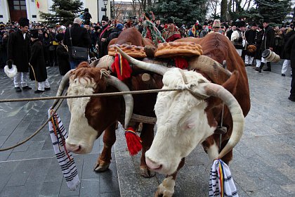 Spectacol fascinant al tradițiilor și datinilor populare de iarnă, în centrul Sucevei (Galerie foto)