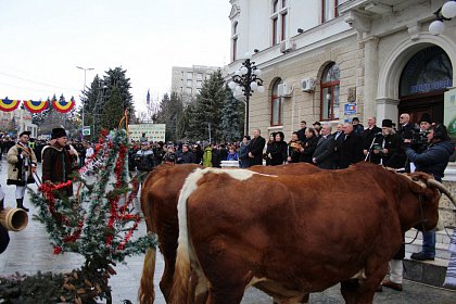 Spectacol fascinant al tradițiilor și datinilor populare de iarnă, în centrul Sucevei (Galerie foto)