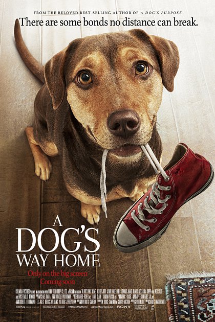 A Dog's Way Home