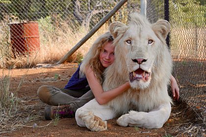 Mia and the White Lion