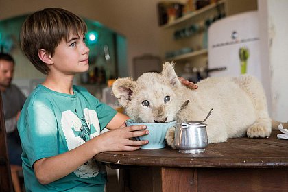 Mia and the White Lion